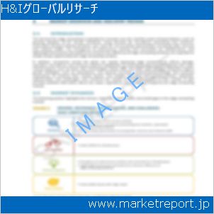 市場と産業調査レポートのイメージ